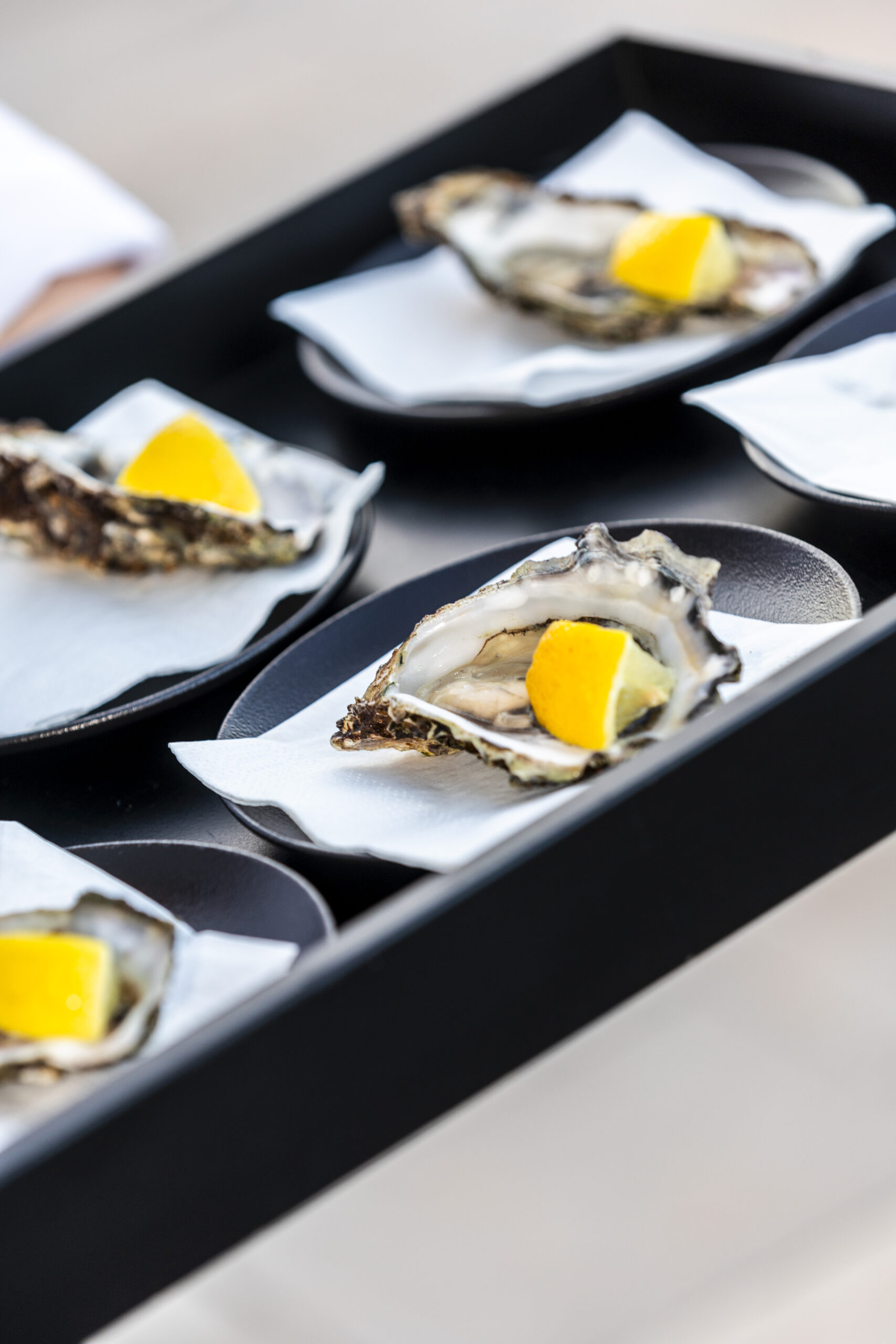 COSMO ART FESTIVAL ST MAUR 2023 119