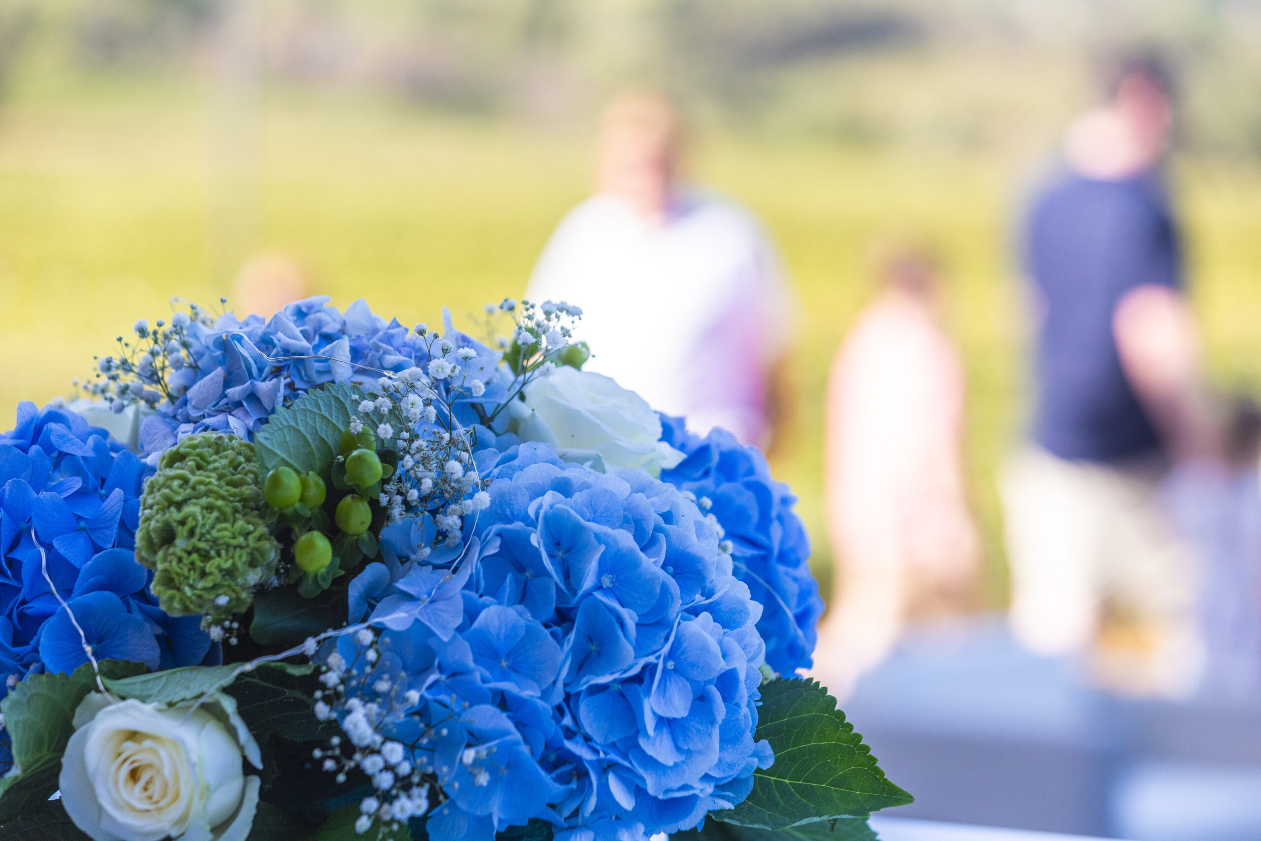 COSMO ART FESTIVAL ST MAUR 2023 38